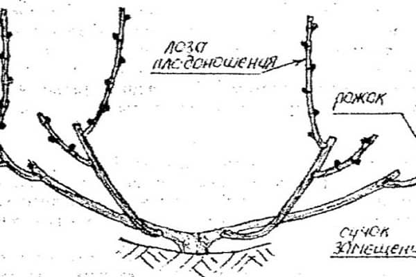 Một cách thuận tiện