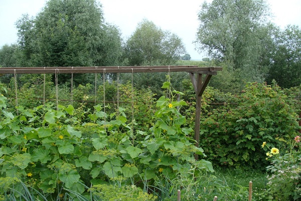 Bewertungen von Sommerbewohnern