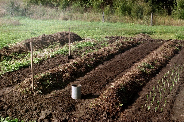 preparación del suelo