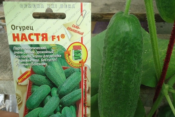 cucumber varieties