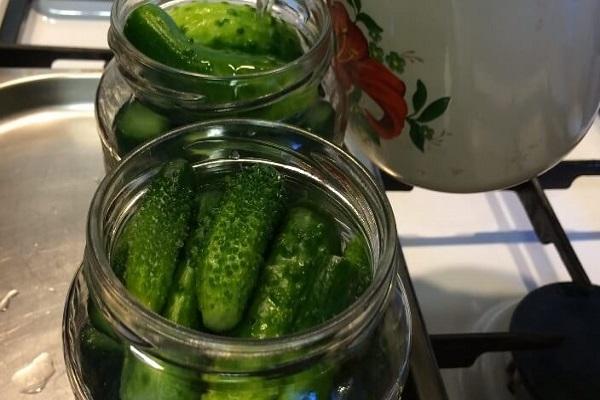 canning cucumber