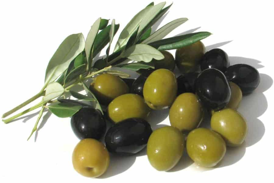 različne olive