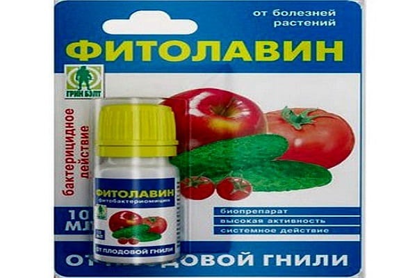 Fitolavin solution