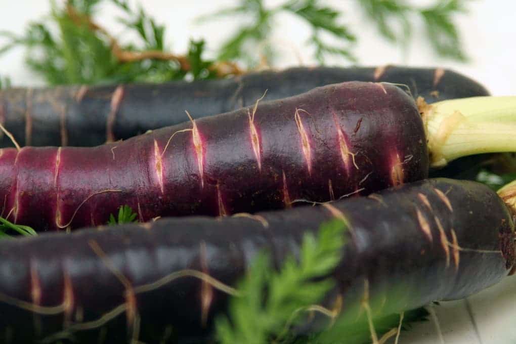 black carrots 