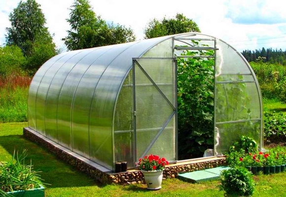 skleník na zahradě