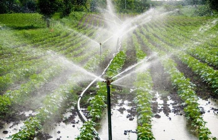 agua en el suelo 