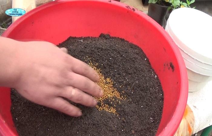 appliquer dans une bassine 