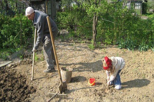 preparación del suelo