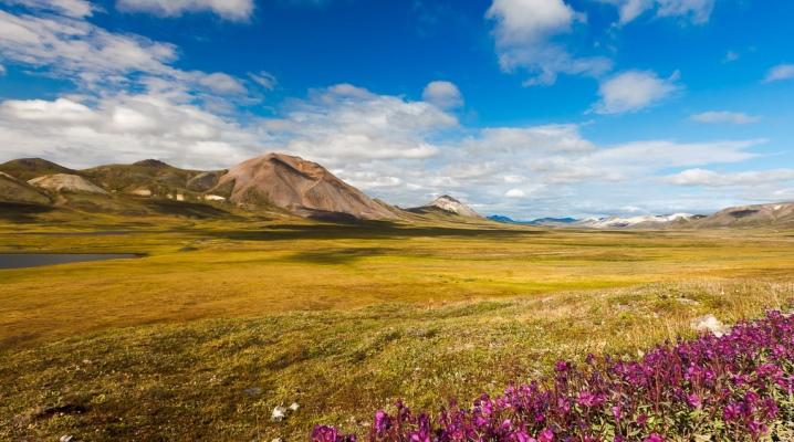 terras de tundra 