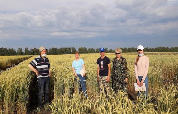 agronómusok a helyszínen 