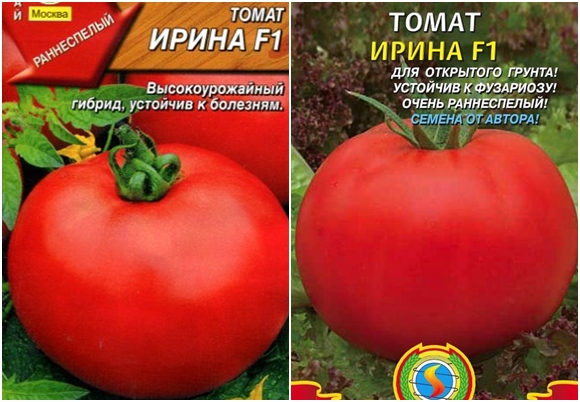 semena rajčat Irina