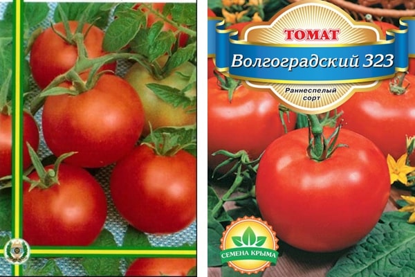 semena rajčat Volgogradsky 323