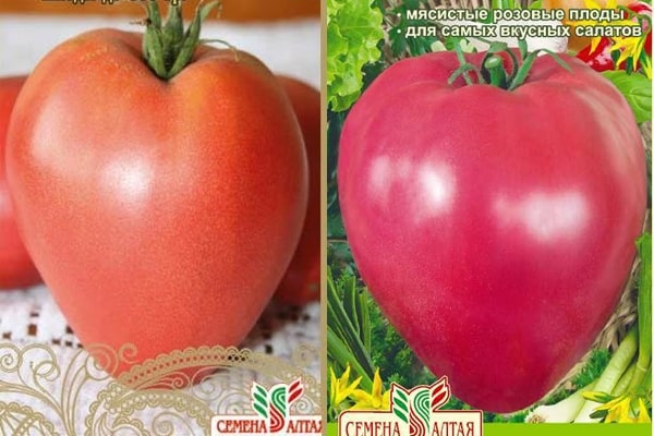 appearance of tomato Korolevich