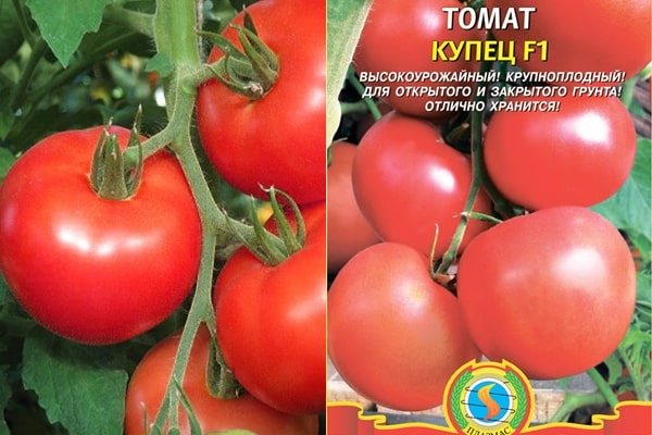 merchant tomato seeds