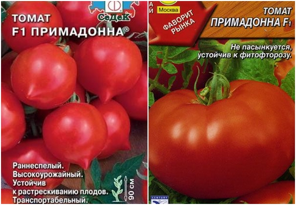 sjemenke rajčice tomato seeds primadonna