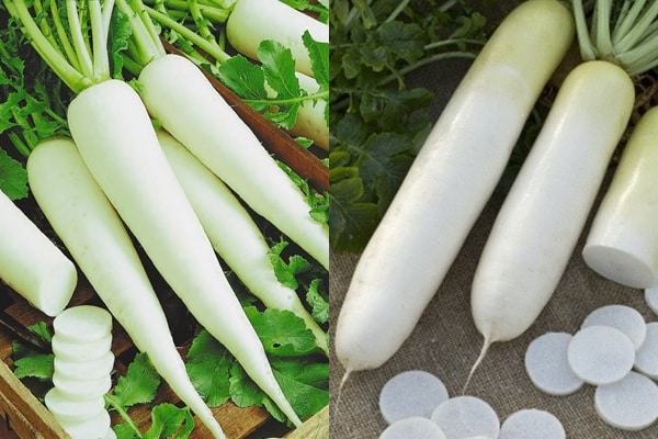 Daikon Dubinushka megjelenése