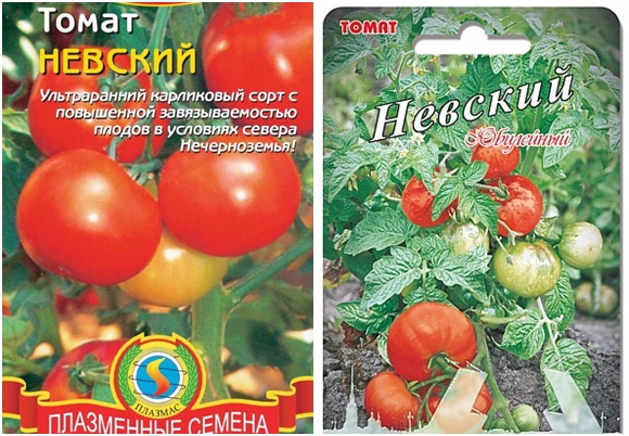 graines de tomates Nevsky