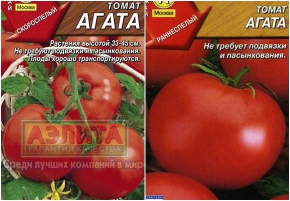 sementes de tomate ágata