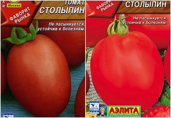 Stolypin tomato seeds