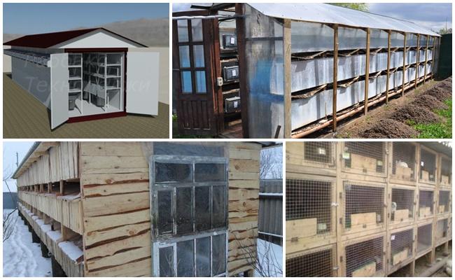 Sheds for rabbits