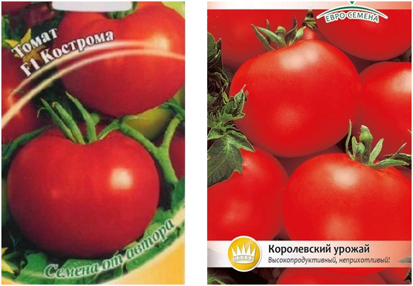 semena rajčat Kostroma F1
