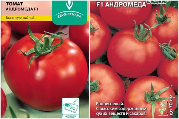 tomato seeds Andromeda F1