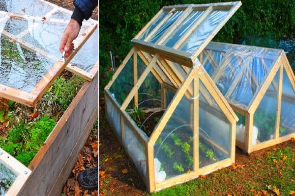 mini greenhouse