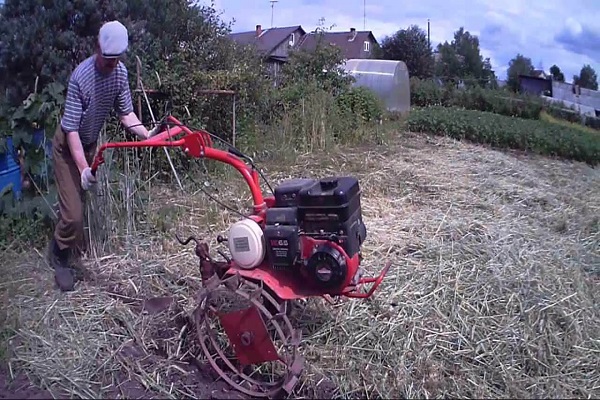 behandelen met fungiciden