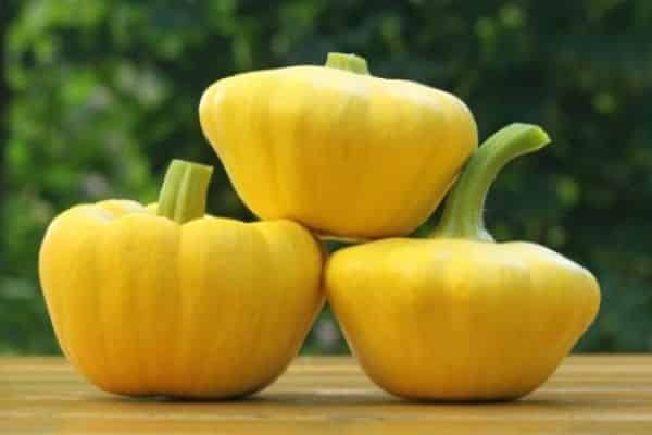 UFO squash