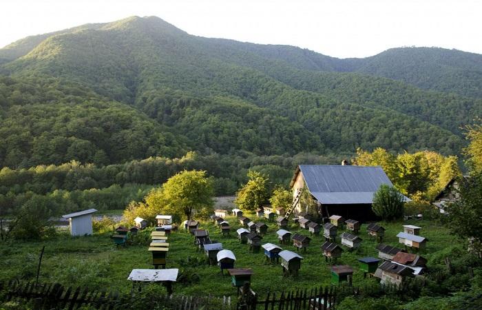 Berge mit Bienenhaus 