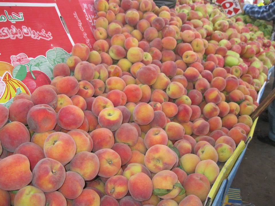 storage of peaches