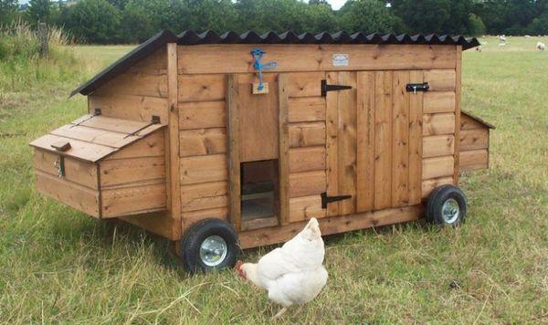 chicken coop on wheels