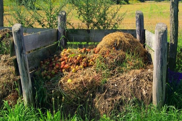 fonctionnalités de stockage