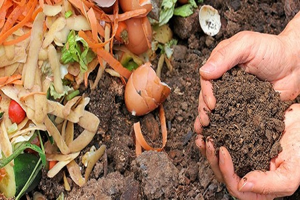 déchets alimentaires