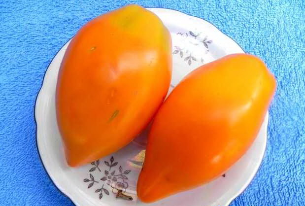 tomate naranja picante