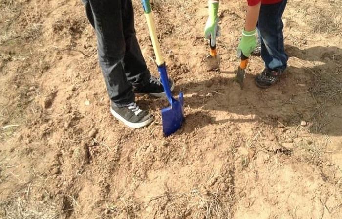 sand on the ground 