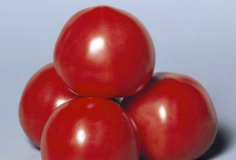 vzhled rajčat Pink Solution
