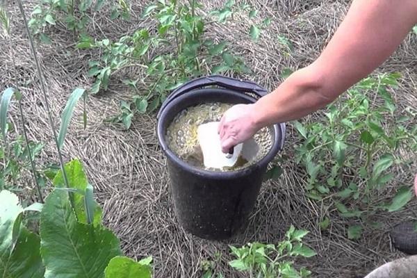 alimentación en cubos 