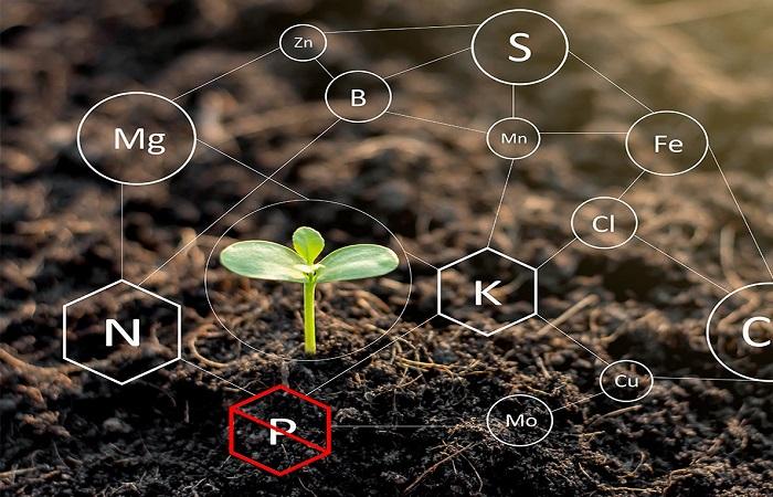 fórmula a les plantes 