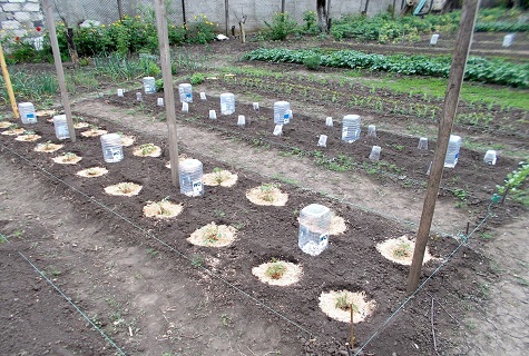 mokken op de grond 