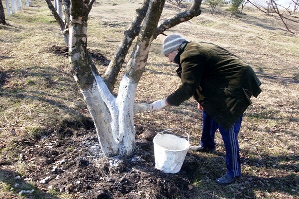 de bomen waren niet geschilderd