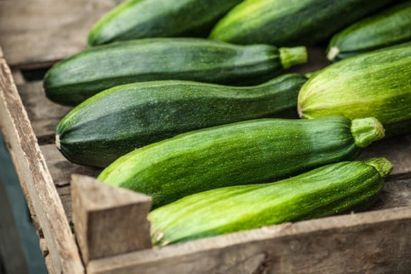 Zucchini konservieren