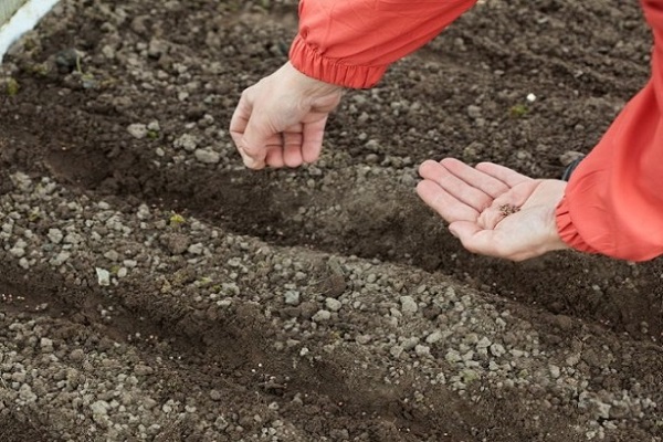 Plätze für Gartenbeete