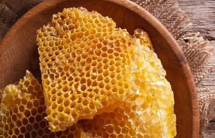 piece of honeycomb 