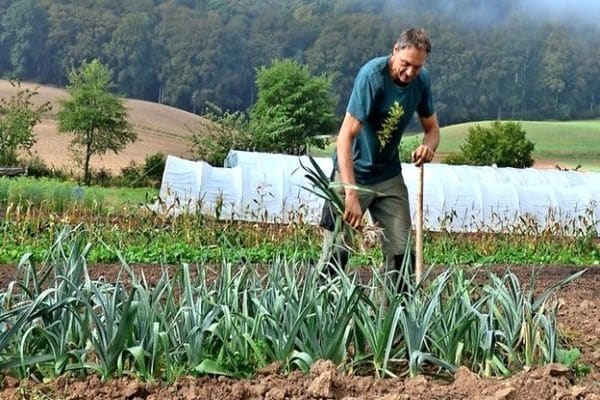 φροντίδα κρεμμυδιού