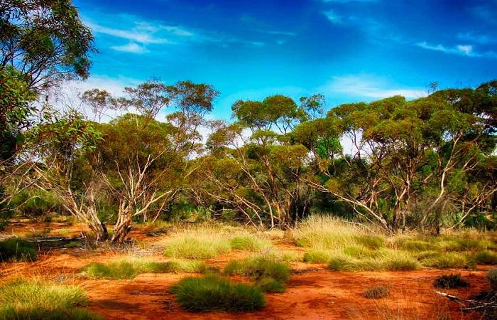 leven in Australië 