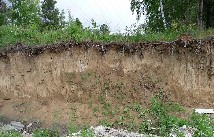 cross-section of land 