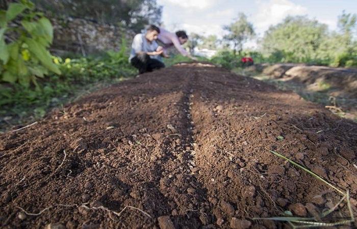 taiga soil 