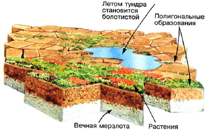 ground instructions 