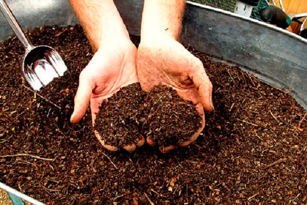 biobrandstof in de grond 